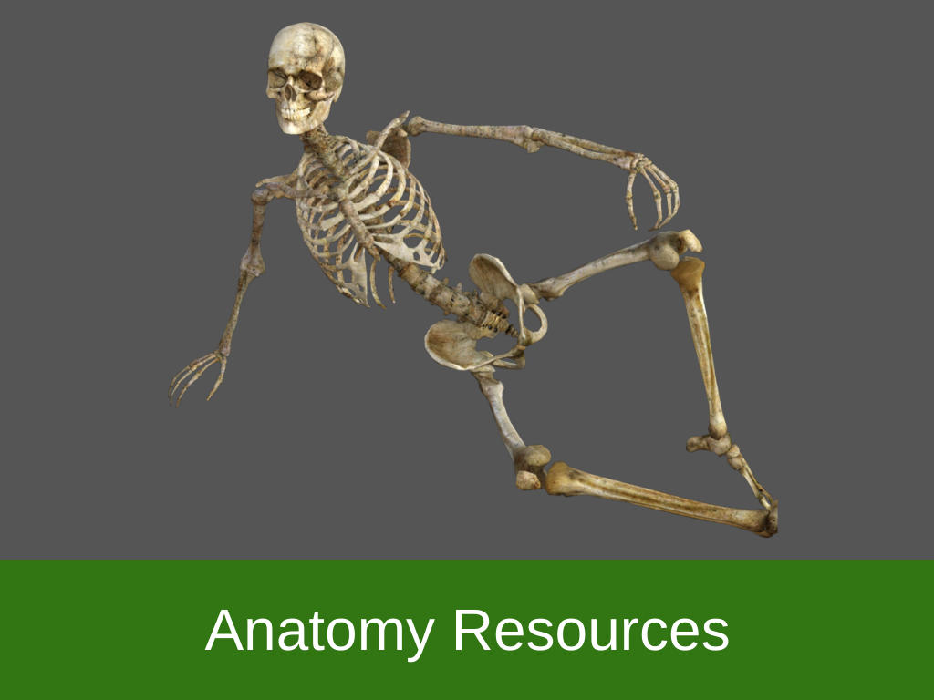 Anatomy Resources
